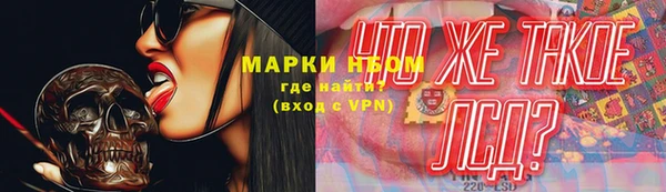 прущие грибы Михайлов