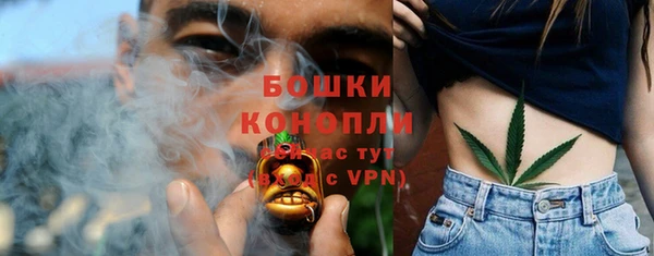 прущие грибы Бикин