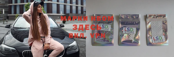 прущие грибы Михайлов