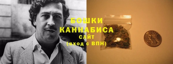 прущие грибы Михайлов