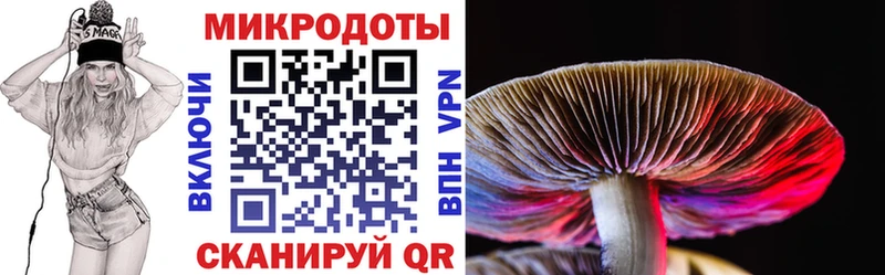 закладка  Магадан  KRAKEN как войти  Псилоцибиновые грибы мицелий 