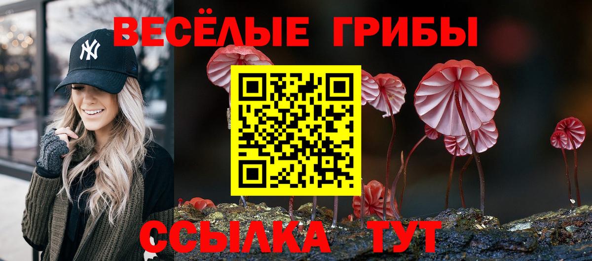 Магадан  Псилоцибиновые грибы GOLDEN TEACHER  Вход с VPN 
