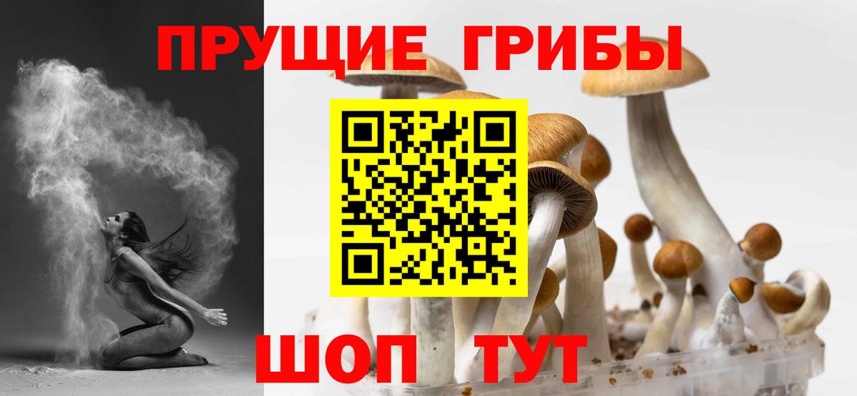 Псилоцибиновые грибы MAGIC MUSHROOMS Магадан