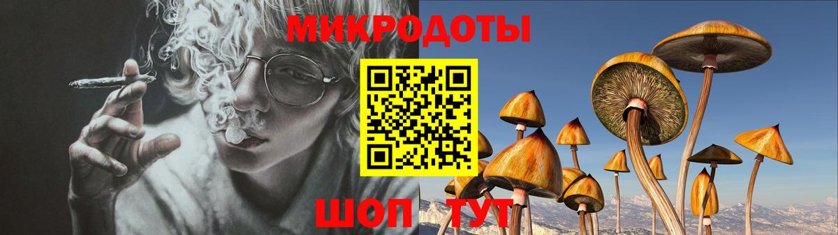 Галлюциногенные грибы MAGIC MUSHROOMS  как найти закладки  Магадан  Псилоцибиновые грибы GOLDEN TEACHER 