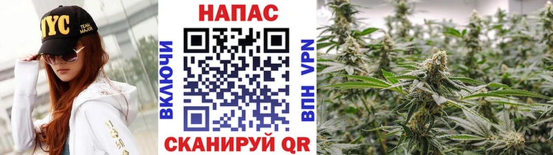 блэк спрут как зайти как найти закладки Магадан МАРИХУАНА ГИДРОПОН