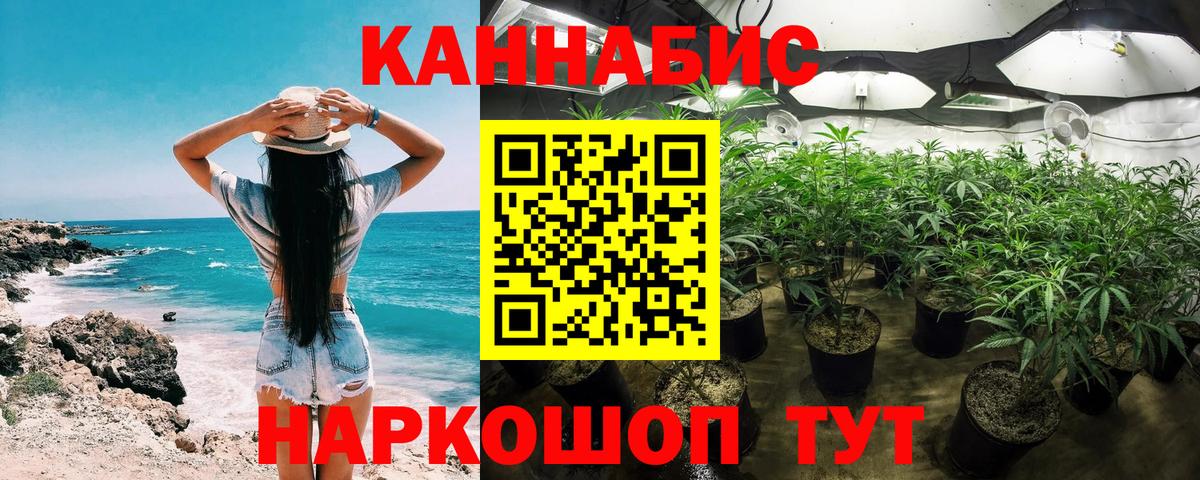 Бошки Шишки планчик  Канабис гибрид  Канабис конопля  Магадан  Вход с VPN 